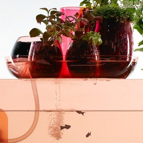 liquid_garden_benjamin_graindorge_4