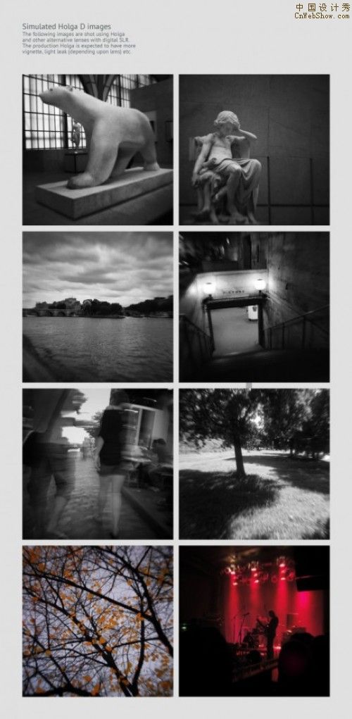 holga_d-10-462x944