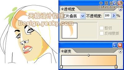 IllustratorƬΪʸʱ廭ͼߣ