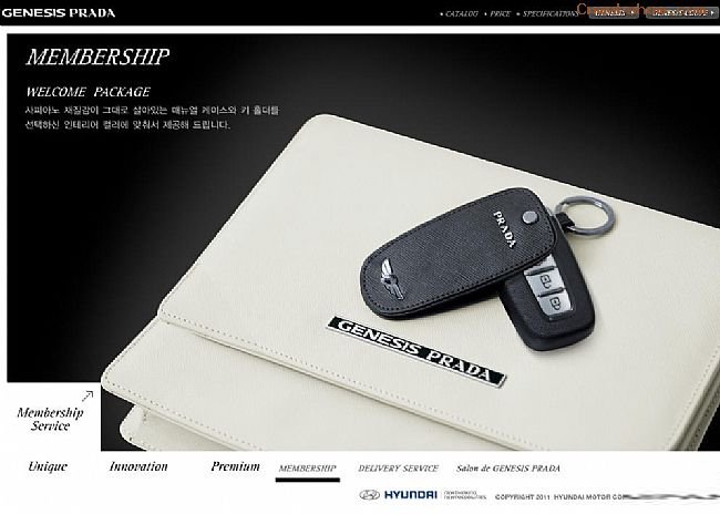 <a href=http://www.cnwebshow.com target=_blank class=infotextkey>վ</a>:genesisprada