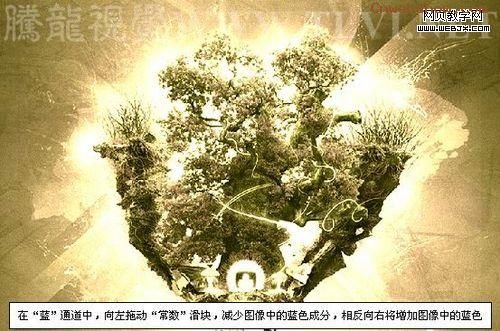 tongdao