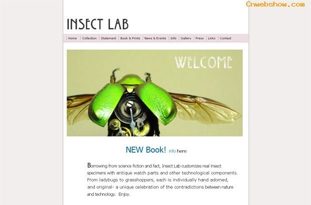5˷<a href=http://www.cnwebshow.com target=_blank class=infotextkey>ҳ</a>Ʒ3