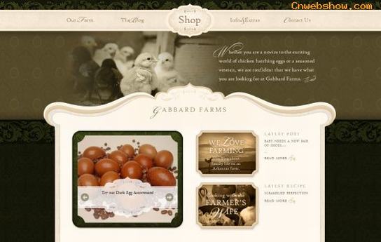 Ʒ<a href=http://www.cnwebshow.com target=_blank class=infotextkey>վ</a>:gabbardhatchingeggs
