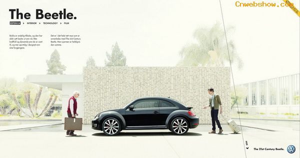 վƣNew Beetle 2012