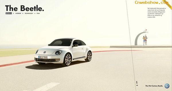 վƣNew Beetle 2012