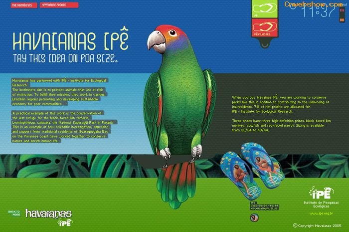 HAVAIҳվƷ