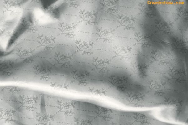 AnnaԼ<a href=http://www.cnwebshow.com/art/ target=_blank class=infotextkey>ƽ</a>Ʒ