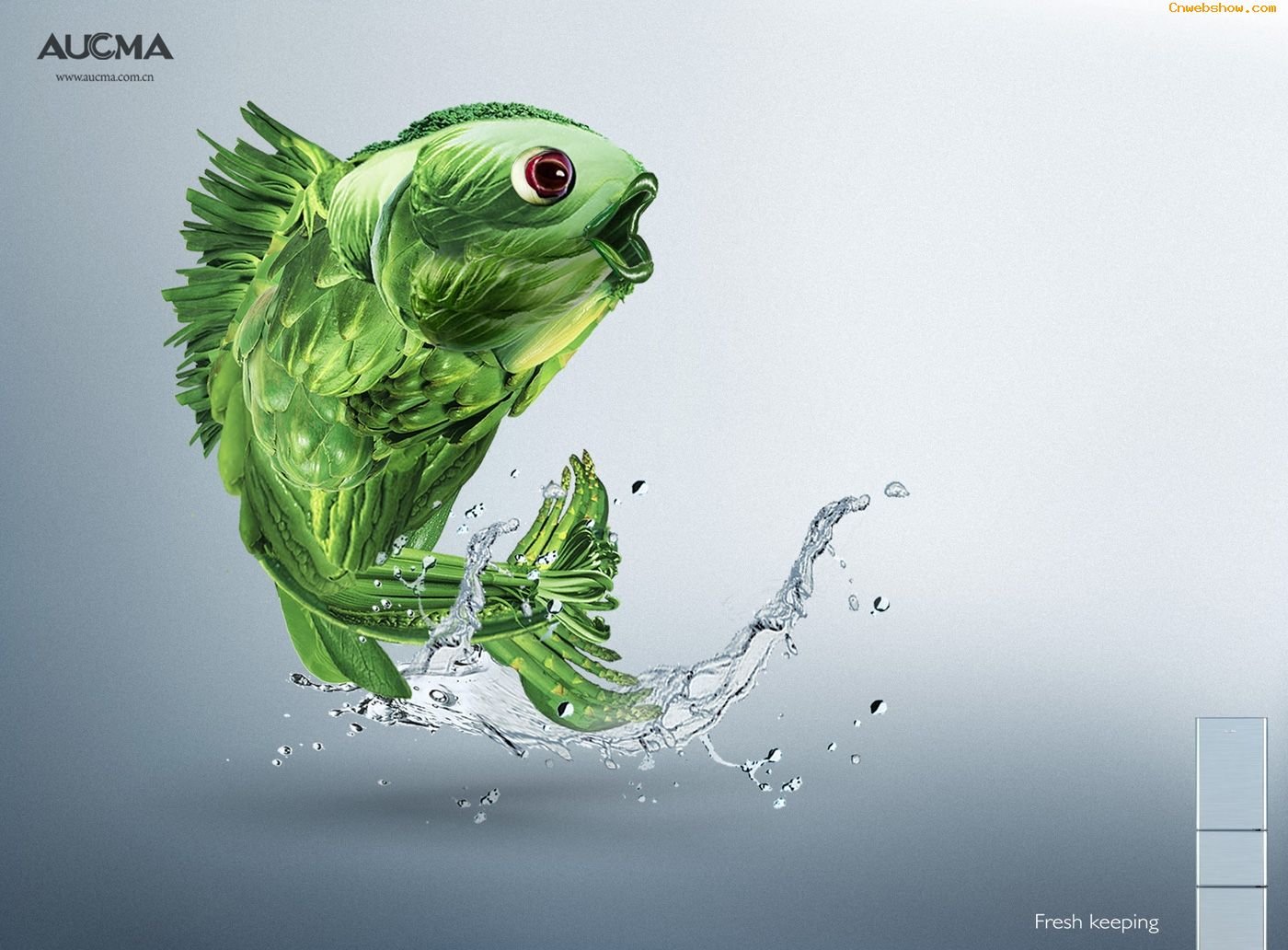 ϵƽ<a href=http://www.cnwebshow.com target=_blank class=infotextkey></a>Ʒ