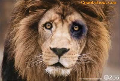 ϵеƽ<a href=http://www.cnwebshow.com target=_blank class=infotextkey></a>Ʒ