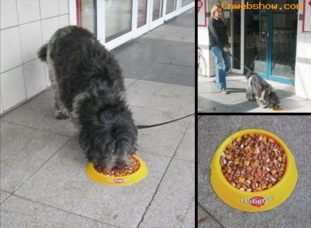 ֽ<a href=http://www.cnwebshow.com target=_blank class=infotextkey></a>Ʒ