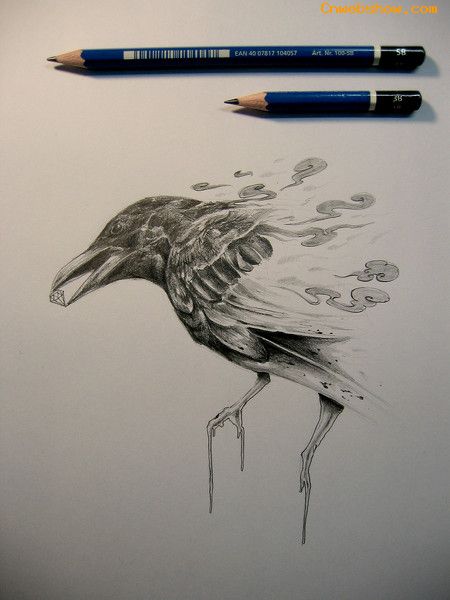 BehanceĵƽƷ