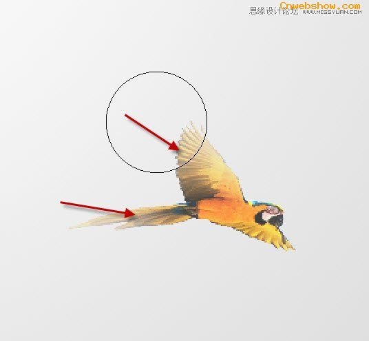 <a href=http://www.cnwebshow.com/http://www.cnwebshow.com/edu/photoshop/ target=_blank class=infotextkey>Photoshop</a>合成抽象风格的人物插画教程,PS教程