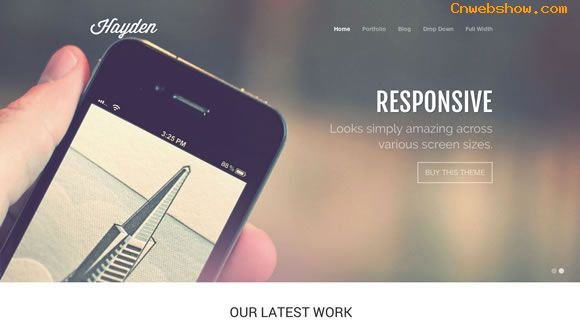 http://themetrust.com/themes/haydenҳվ:themetrust