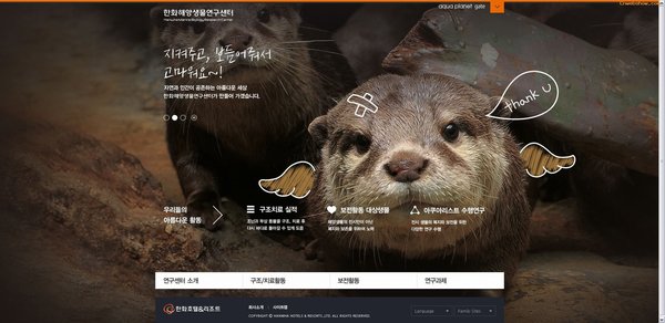 원본 이미지 보기
