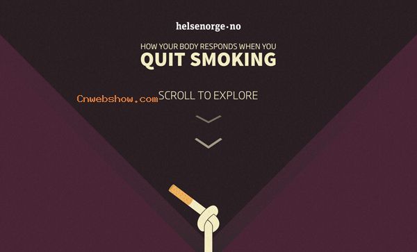 30 New Examples of Responsive Websites with Big Background - 26