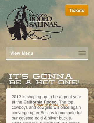 Mobile Web Design Examples For Inspiration