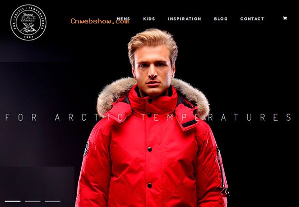 26 Trendy Examples Of Web Design - 12