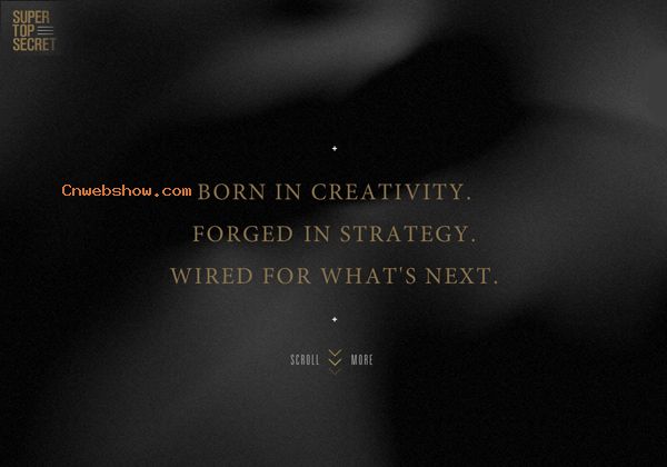 Award winning websites for inspiration