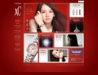 日本西铁城腕表展示网站设计欣赏