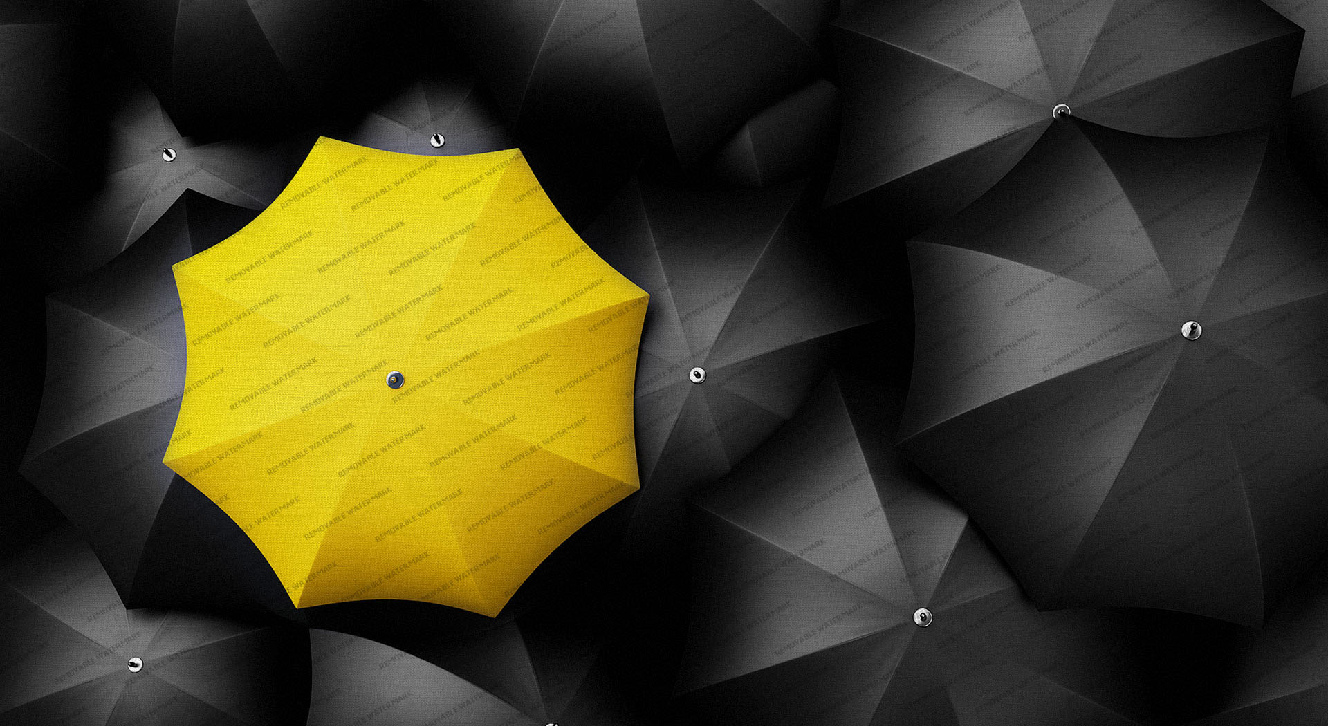 <a href=http://www.cnwebshow.com target=_blank class=infotextkey>��ҳ���</a>,�����վչʾ,��ɫ,ʷ��,�ʸ�,����,����,OPTIMUS