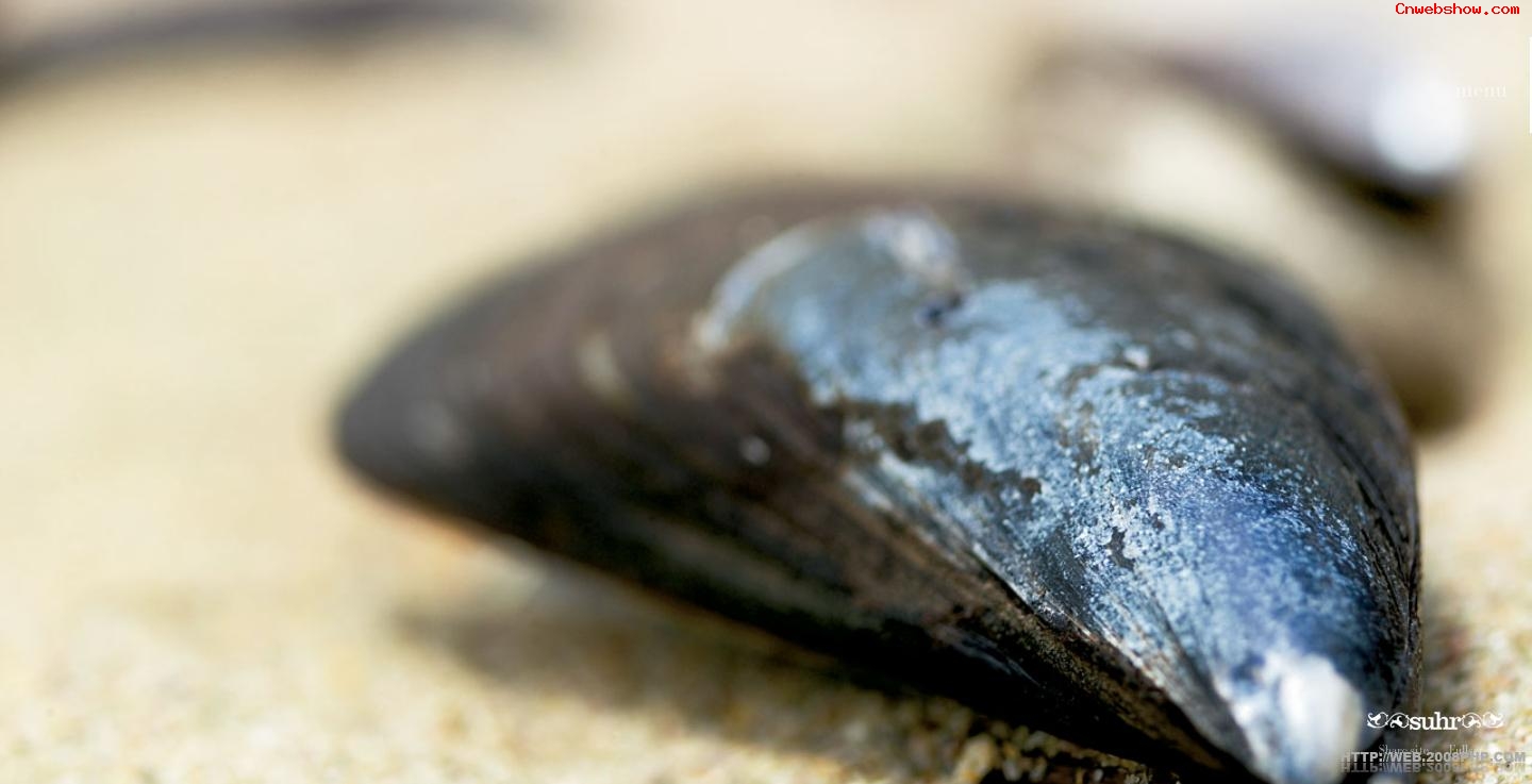 ���Ѿƺͳ��ˣ�<a href=http://www.cnwebshow.com/sheyin target=_blank class=infotextkey>��Ӱ</a>����⿣����ʽ�����Ѿƣ����ˣ��Ϸǣ����ף�opskrifter��ʳƷ����⿣���ʦ����ʦ�����Ѿƣ���ϲ���漤�飡���㾫��<a href=http://www.cnwebshow.com target=_blank class=infotextkey><a href=http://www.cnwebshow.com target=_blank class=infotextkey>��ҳ����</a></a>,ŷ��<a href=http://www.cnwebshow.com target=_blank class=infotextkey>��ҳ���</a>����,ŷ����վ�������,�й������