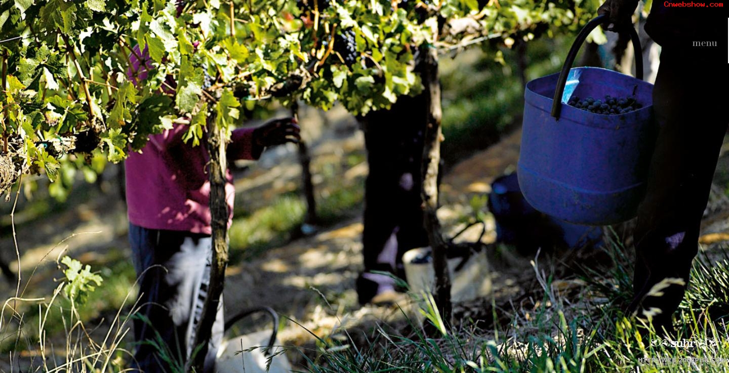 ���Ѿƺͳ��ˣ�<a href=http://www.cnwebshow.com/sheyin target=_blank class=infotextkey>��Ӱ</a>����⿣����ʽ�����Ѿƣ����ˣ��Ϸǣ����ף�opskrifter��ʳƷ����⿣���ʦ����ʦ�����Ѿƣ���ϲ���漤�飡���㾫��<a href=http://www.cnwebshow.com target=_blank class=infotextkey><a href=http://www.cnwebshow.com target=_blank class=infotextkey>��ҳ����</a></a>,ŷ��<a href=http://www.cnwebshow.com target=_blank class=infotextkey>��ҳ���</a>����,ŷ����վ�������,�й������