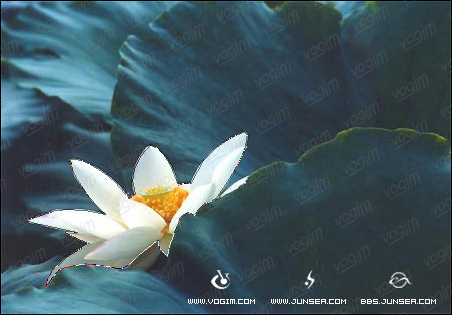 PhotoshopͼƬ�ϳɽ̶̳�--����������
