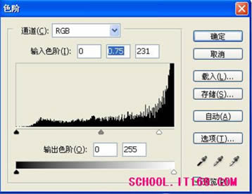 PhotoshopϳʵƱƮ