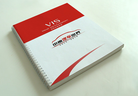 VIS