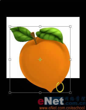 Photoshop˵Ļ