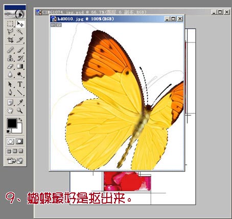 PhotoshopƬϳ_õ廨ΧƵŮ_й