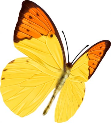 PhotoshopƬϳ_õ廨ΧƵŮ_й