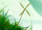esky design