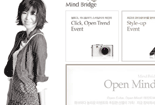 Open Mind Festival