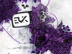 �����������ʦƽ��廭����