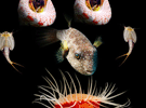 National Aquarium in Baltimore����������