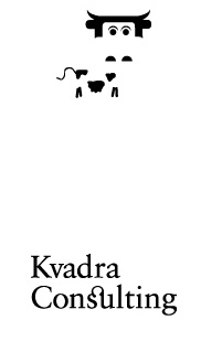 ־;ѡ