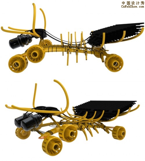 taxius-animalus-vehicle6