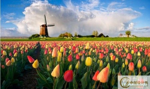 Photoshop����Ƭת��ˮ�ʻ���Ч_�й�������Ƽ�