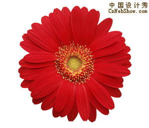 ��֡���������̳̣�������QQ����