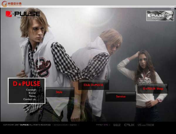 dpulse:֪����װ��վ����