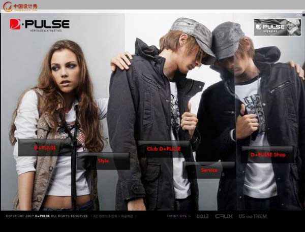 dpulse:֪����װ��վ����
