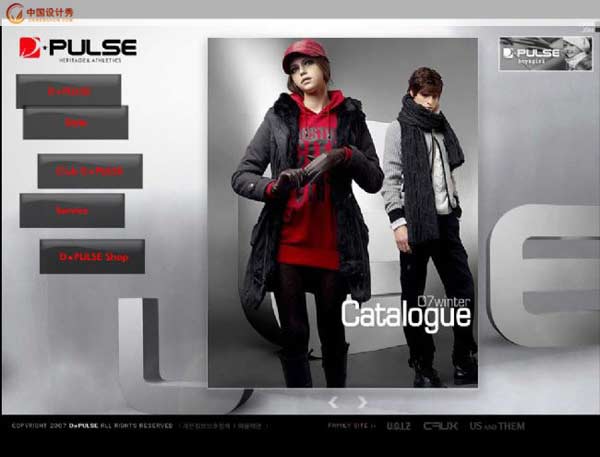 dpulse:֪����װ��վ����