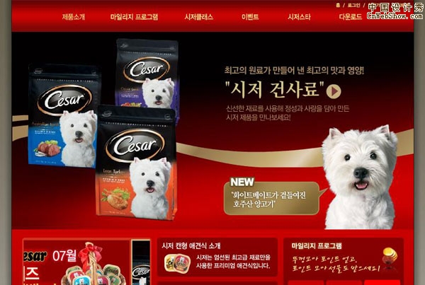 �����պ�Flash��վ����:cesa.jpg